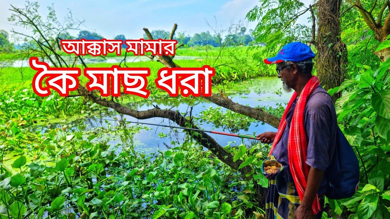 গাজনার বিলে মাথানষ্ট কৈ মাছ ধরলাম 🎣 কৈ মাছ শিকার  Koi Fishing | Fishing video  | Fishing BD Fast Tv 