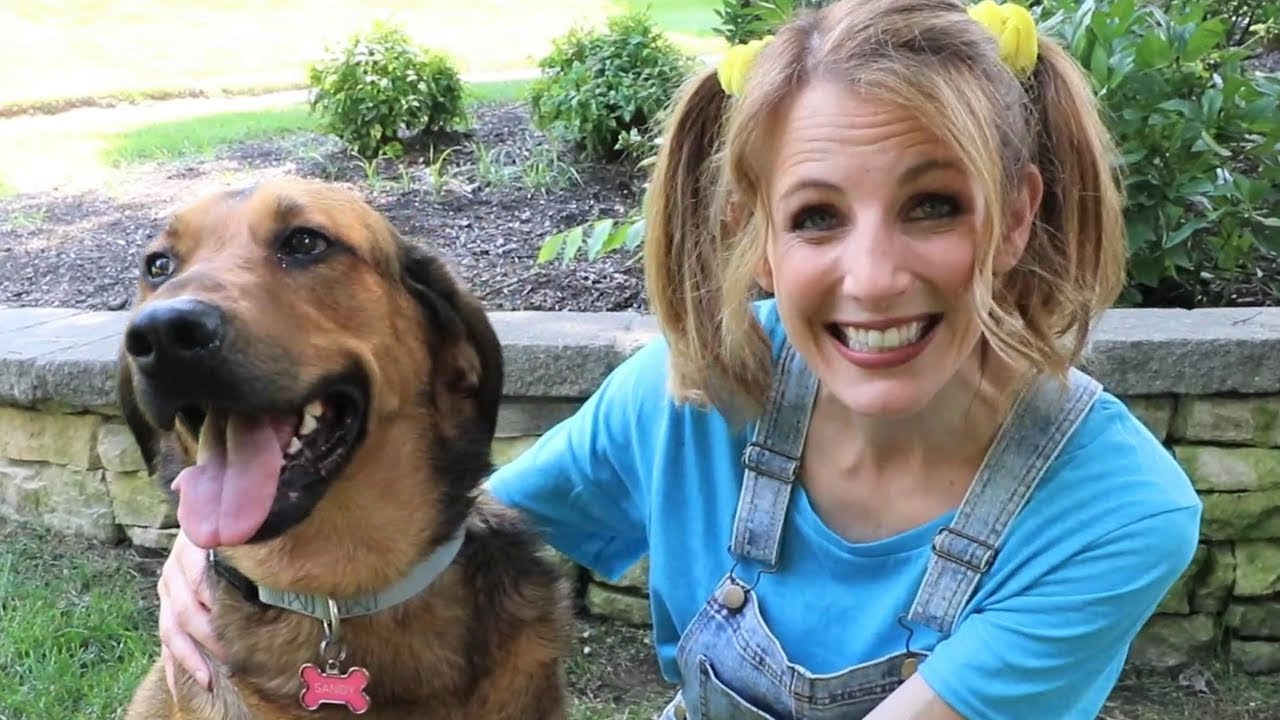 How to Take Care of a Dog