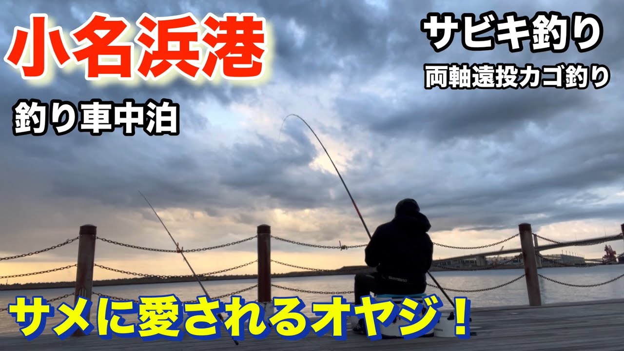 【小名浜港】釣り車中泊、サメに愛されるオヤジ！サビキ釣り、両軸遠投カゴ釣り