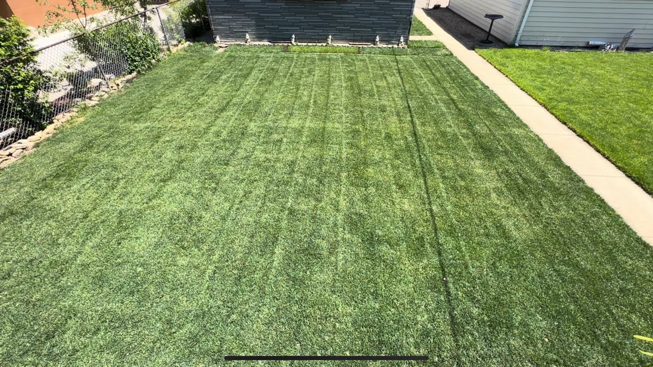 Mowing with Litheli U20 Cordless Mower