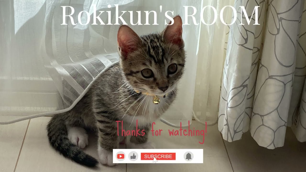ロキくんの部屋 202309 Vol 119