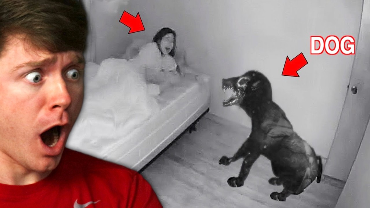 There's SOMETHING WRONG with HER DOG!? (Reaction)