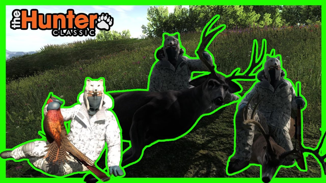TheHunter: Classic | A Mixed Bag in Logger's Point