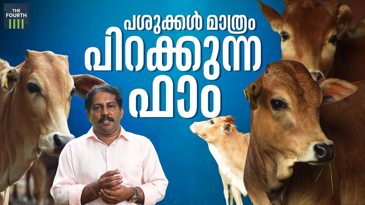 പശുക്കള്‍ മാത്രം പിറക്കുന്ന ഫാം | Livestock Research Station | Thiruvazhamkunnu