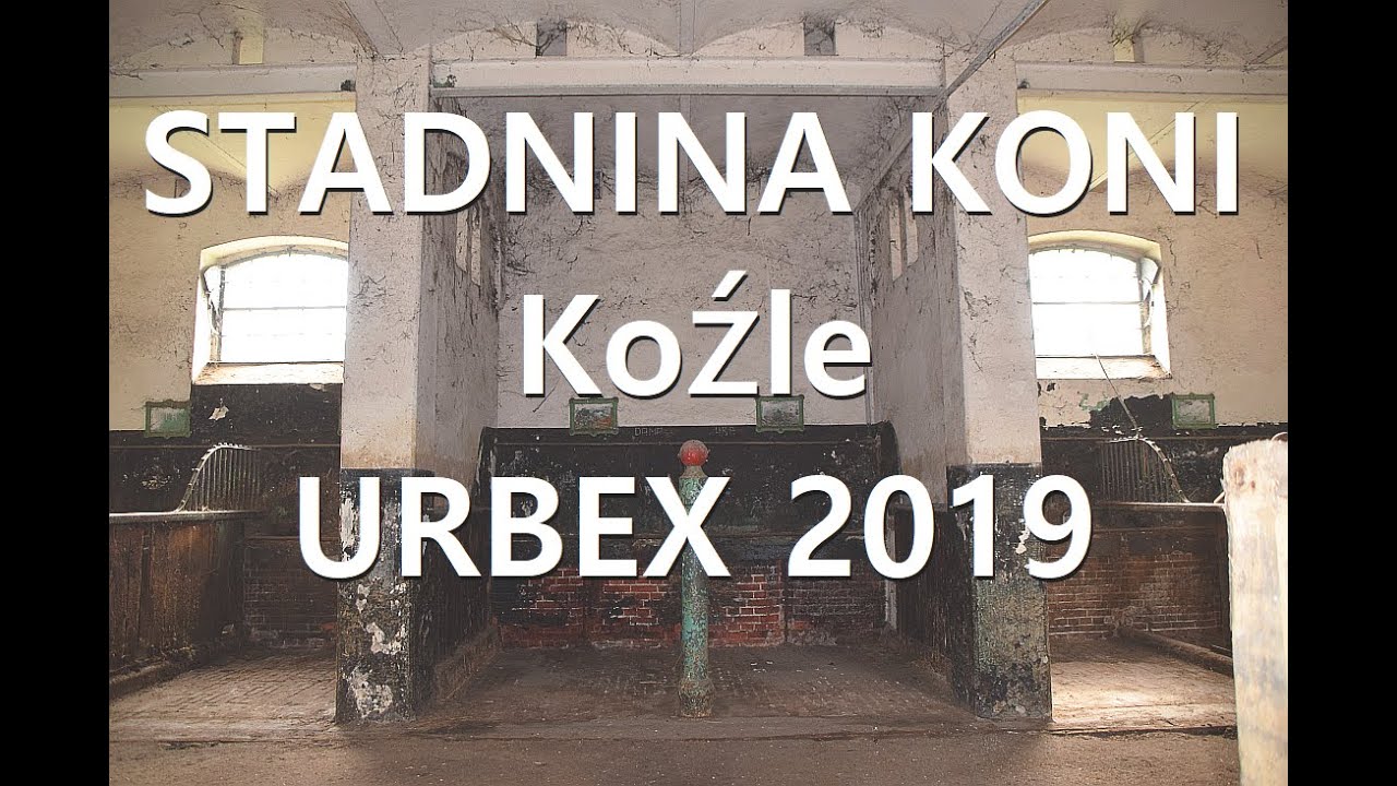 Wnętrza dawnego Stada Ogierów na wyspie w Kędzierzynie-Koźlu w 2019 roku.