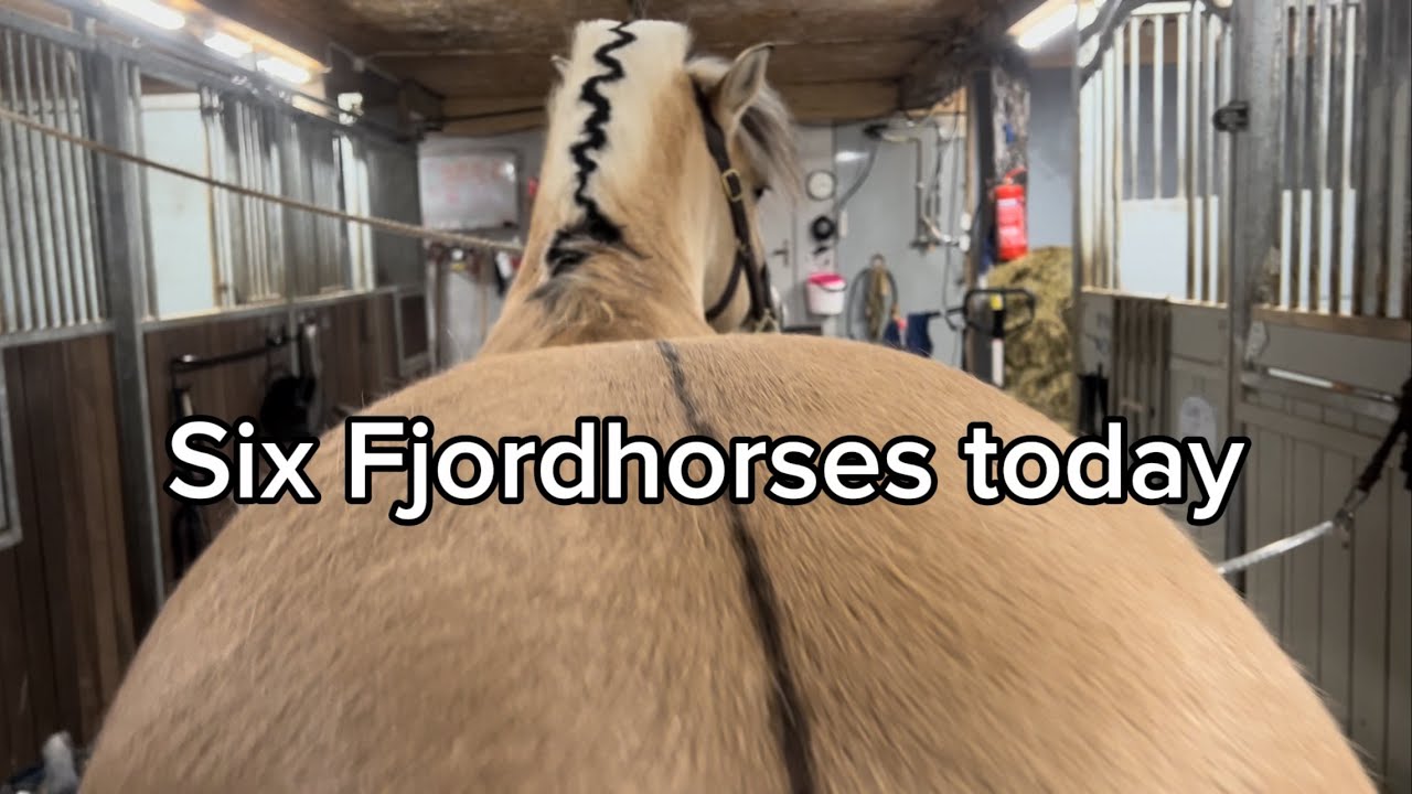 How to cut a horse mane like a pro 