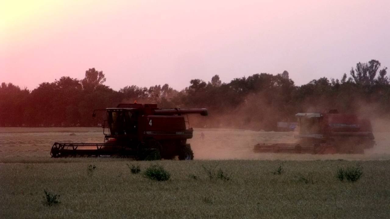 Жатва. Горячая пора хлеборобов/Harvest. Hot time to  grain-grower