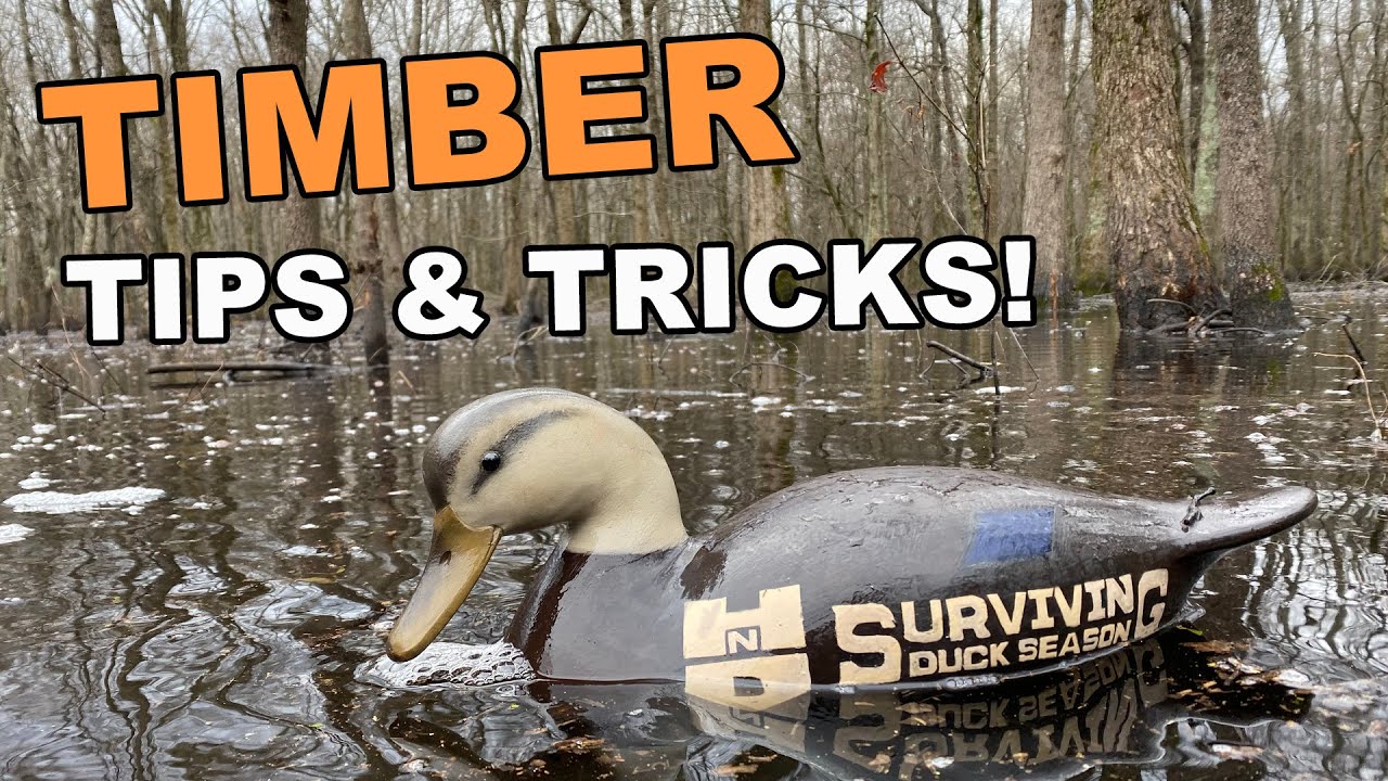 Flooded Timber Duck Hunting Tips | How to call ducks