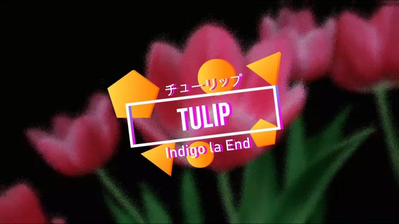Indigo la End - Tulip (チューリップ) - Eng Sub