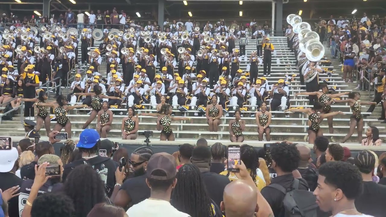 ASU Stingettes 2024 (Homecoming) - Before I Let You Go (FAMU)