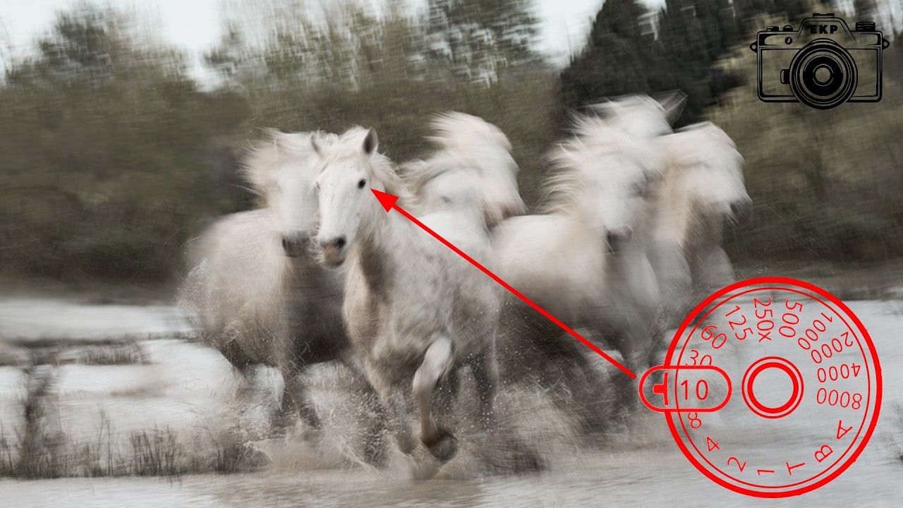 Mastering Shutter Speed: The Art of Capturing Motion