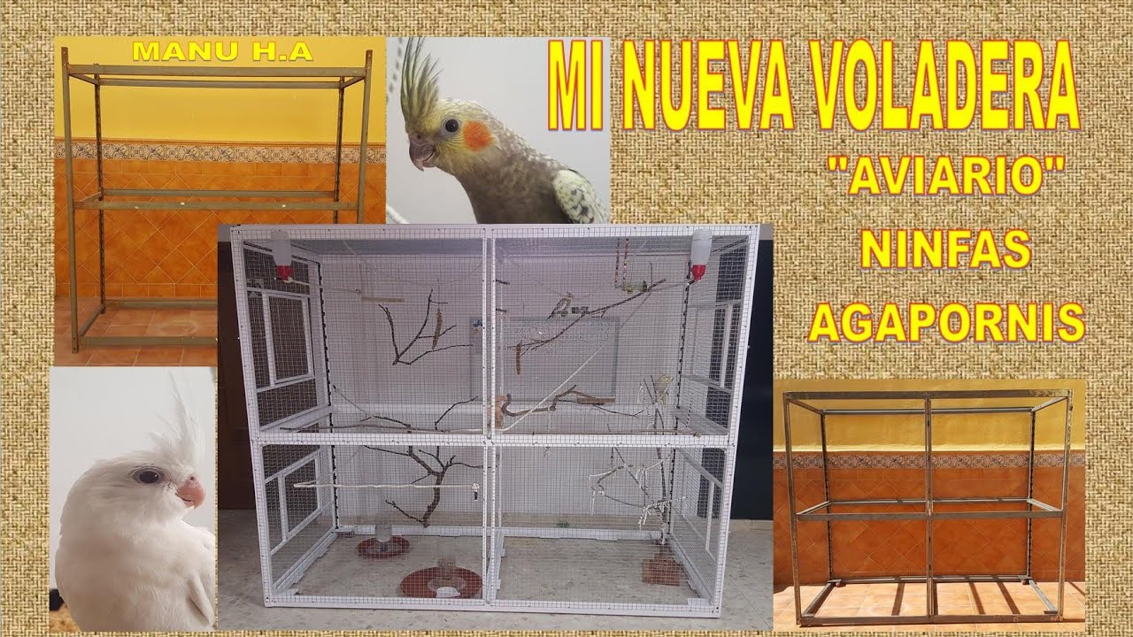 voladera para Ninfas o Agapornis, por fin acabada