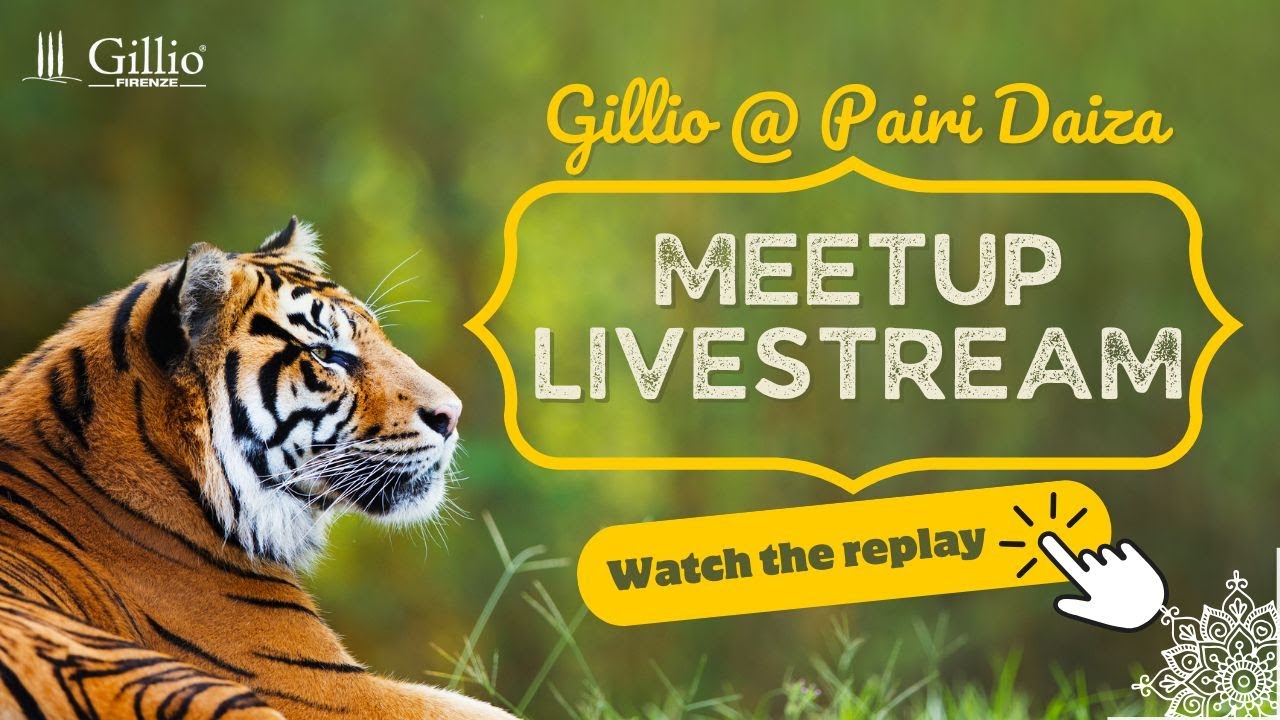 LIVESTREAM REPLAY - Gillio Meetup 2025 @ Pairi Daiza