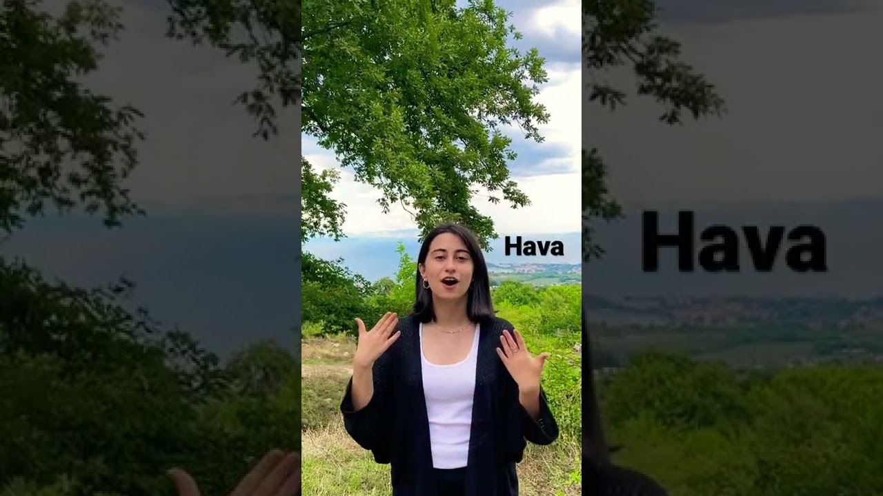 İşaret Dili Kelimeler #1 #isaretdili #işaretdili #fyp #fypシ #music #signlanguage #m&uuml;zik