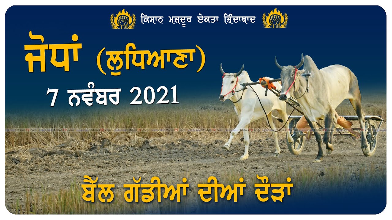 JODHAN (Ludhiana) OX RACES / ਬਲਦਾਂ ਦੀਆਂ ਦੌੜਾਂ 07-NOV.-2021 #MalwaTVoXRaces2021 LIVE STREAMED VIDEO