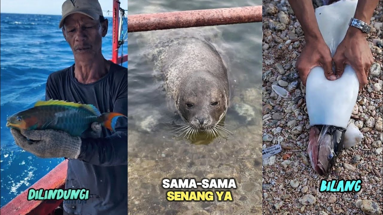 KUMPULAN CERITA MANCING PALING GOKIL SE-INDONESIA ‼️😂😂 (PART TOP)