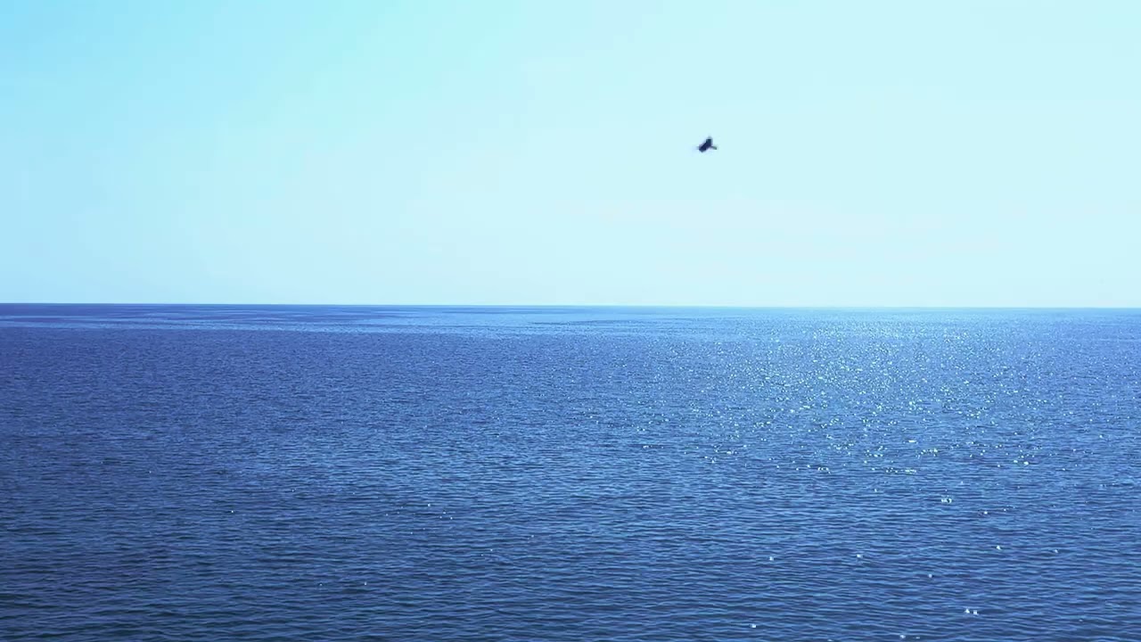 Calm Sea Horizon (NO MUSIC) 🌊 Peaceful Sea Sounds for Relaxation