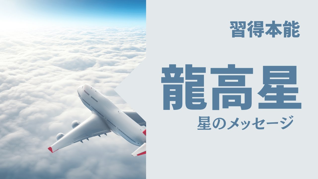 【算命学｜十大主星】龍高星（りゅうこうせい）のあなたへ