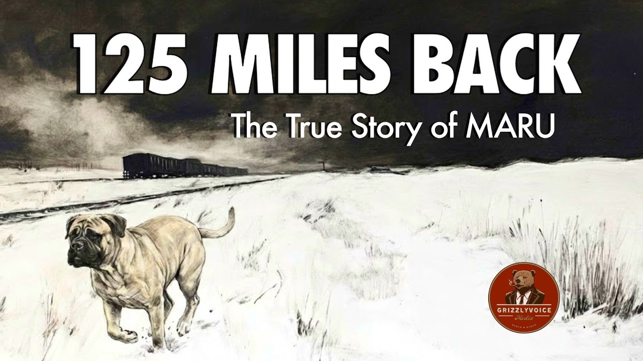 Maru: The Dog Who Walked 125 Miles to Find the Family That Abandoned Her (A GRIZZLYVOICE True Story)