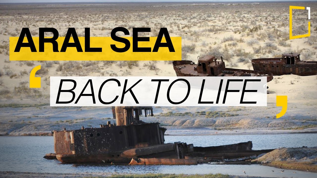 Аральское море | Трудный возврат воды