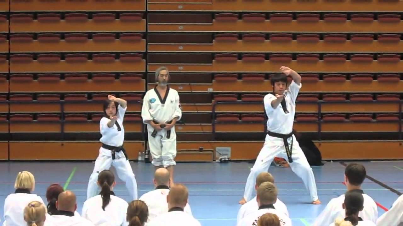 WTF Taekwondo Basic Hand Techniques (by Master Kang Yu Jin)