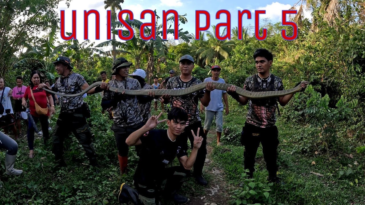 PART- 5 PINAKA MALAKI SA MGA NAUNA KING COBRA SA UNISAN #cobraprince
