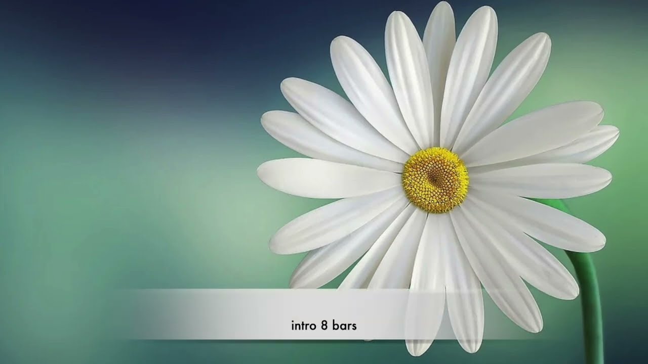 The Say It's Wonderful (Berlin) Backing track + music sheet