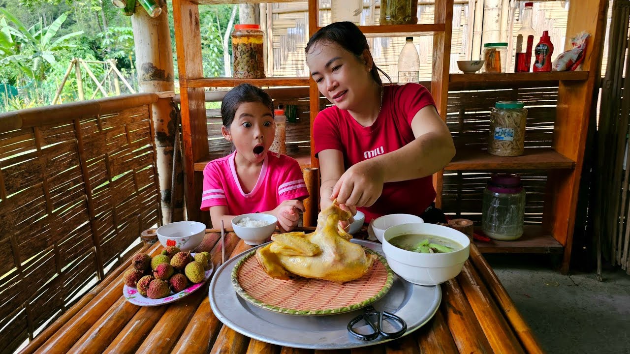 Harvesting ripe lychees with my daughter - A fruit that only appears once a year