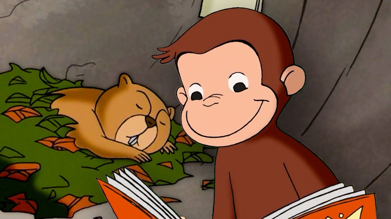 Ein Murmeltier-Mittwoch! | Coco der Neugierige | Cartoons für Kinder