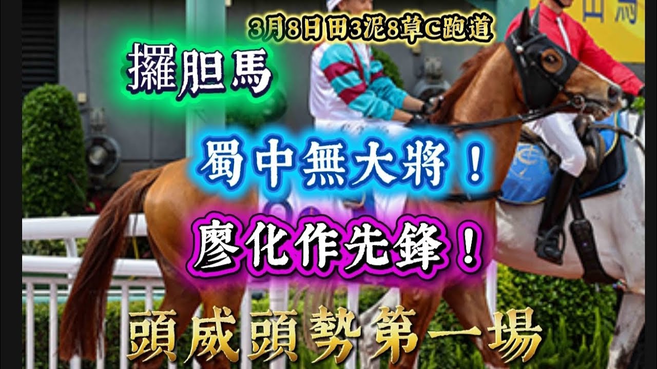 頭威頭勢第一場，《攞胆馬》蜀中無大將！廖化作先鋒！8/3田草3泥8草C跑道。