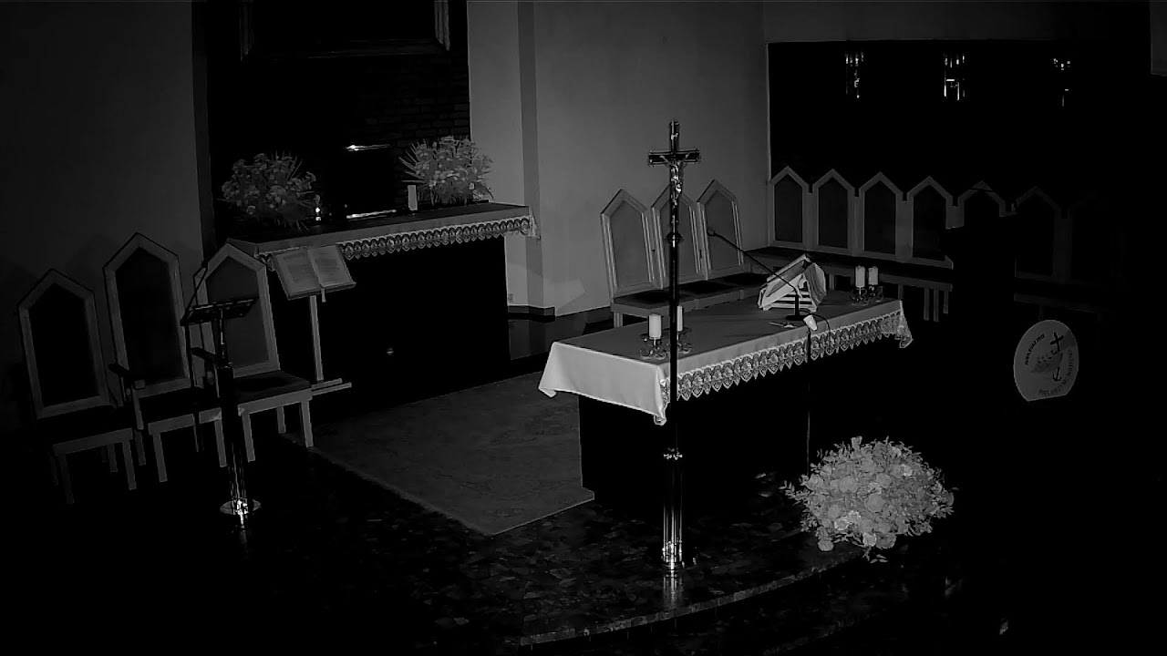 Uroczystość św. Franciszka