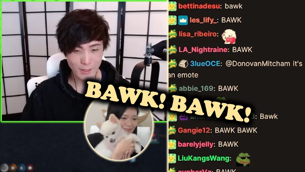 Miyoung's dog (Nabi) BARKING noise was heard on Sykkuno stream