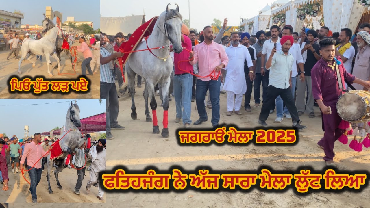ਫਤਿਹਜੰਗ ਨੇ ਅੱਜ ਸਾਰਾ ਮੇਲਾ ਲੁੱਟ ਲਿਆ 