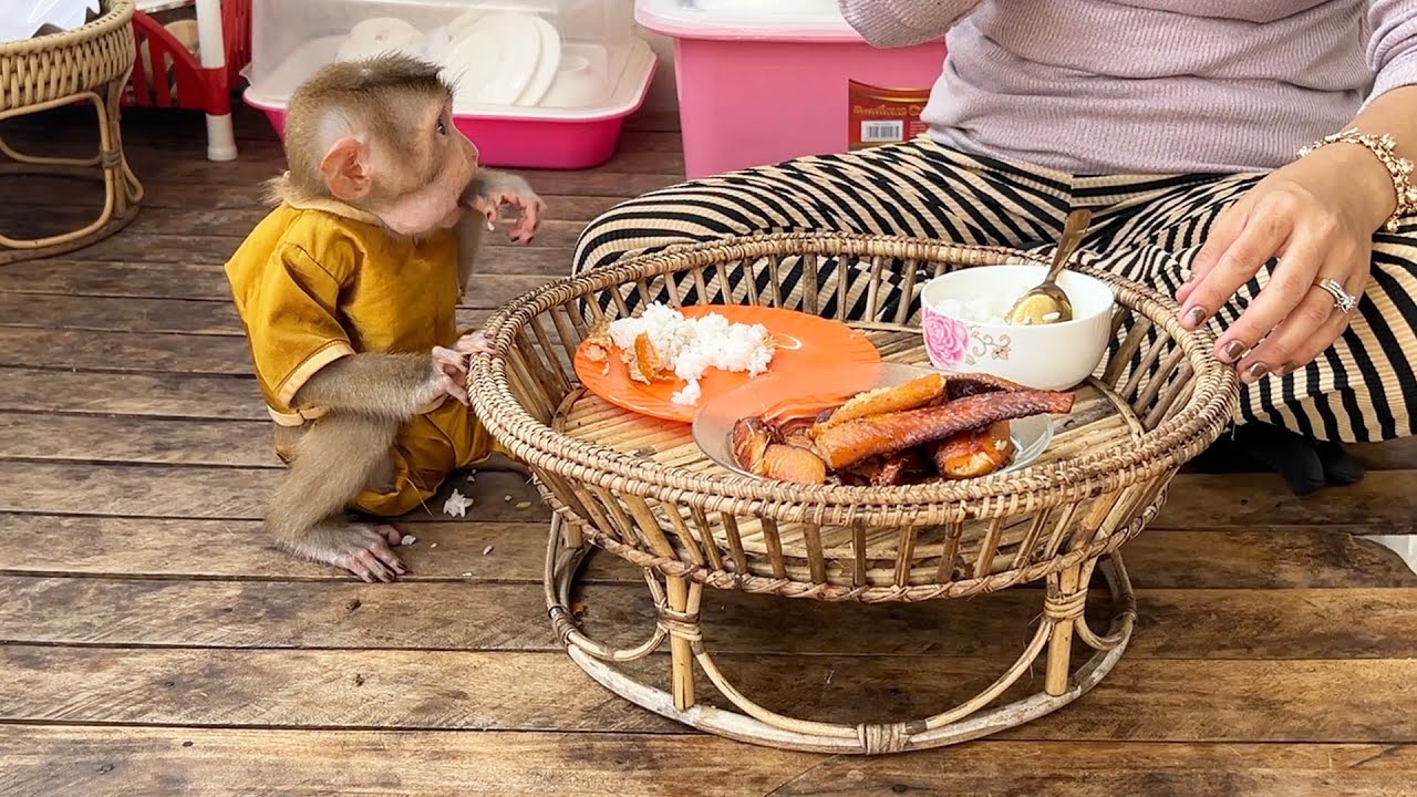 Mom Took Lil Boy MODY To Join Dry Fish Meal, Compactly Sit Like A PRO