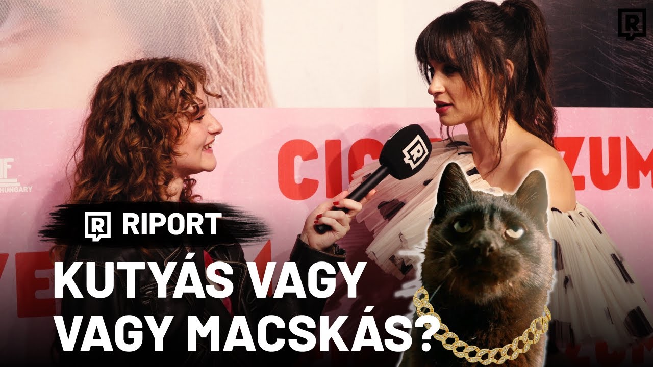 Kutyás vagy macskás típus vagy? (CICAVERZUM FILMPREMIEREN JÁRTUNK)🐈 | REFRESHER