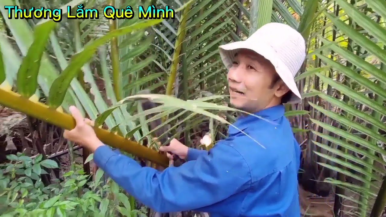 Cách dừng vách từ cây lá dừa nước,rất đẹp và chắc_Tập1