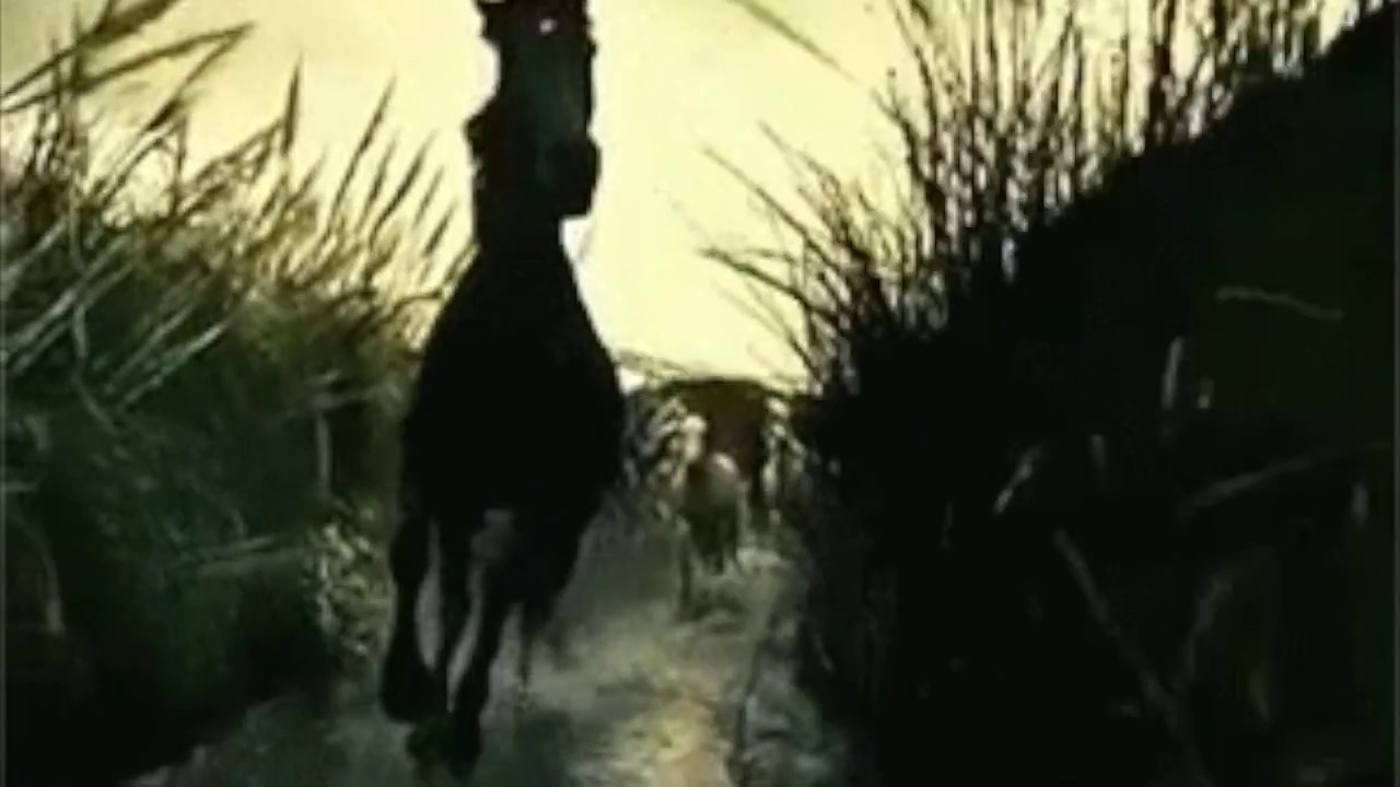 Peskanov Azery Rhapsody, III.  Dilbazi Horses