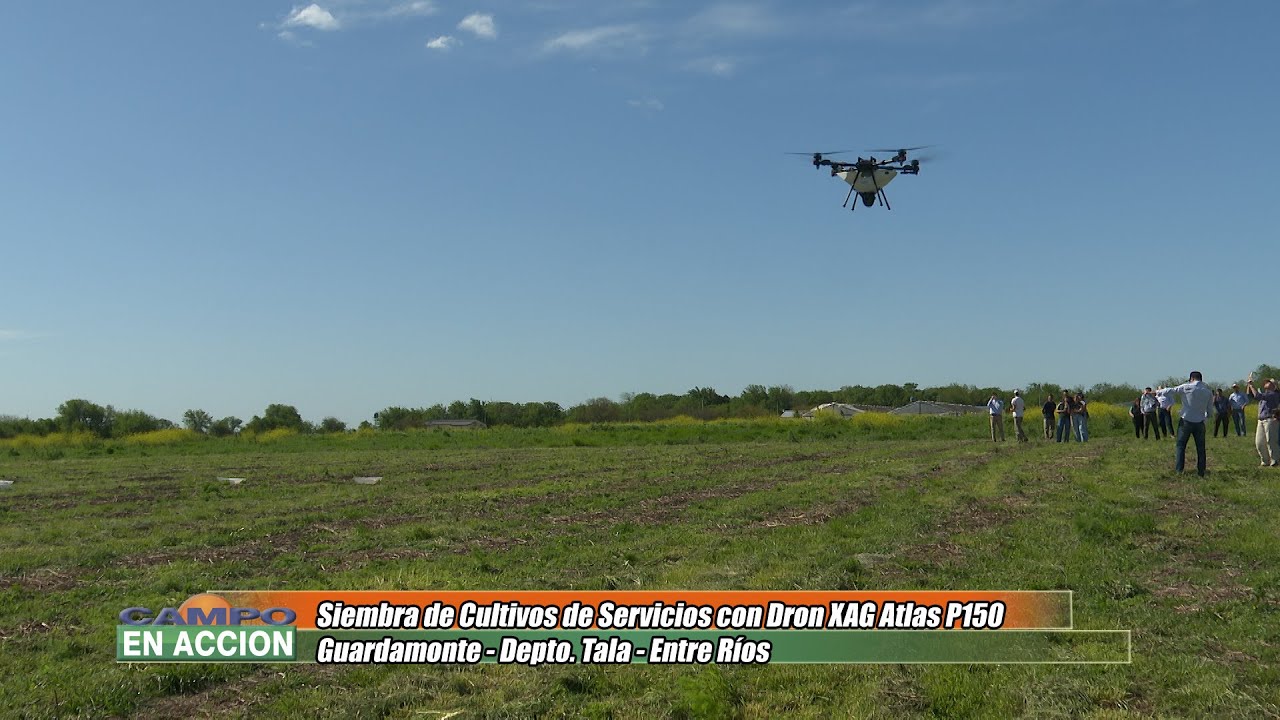 Siembra de Cultivos de servicios con DRon XAG Atlas P150 - Walter Bianchini