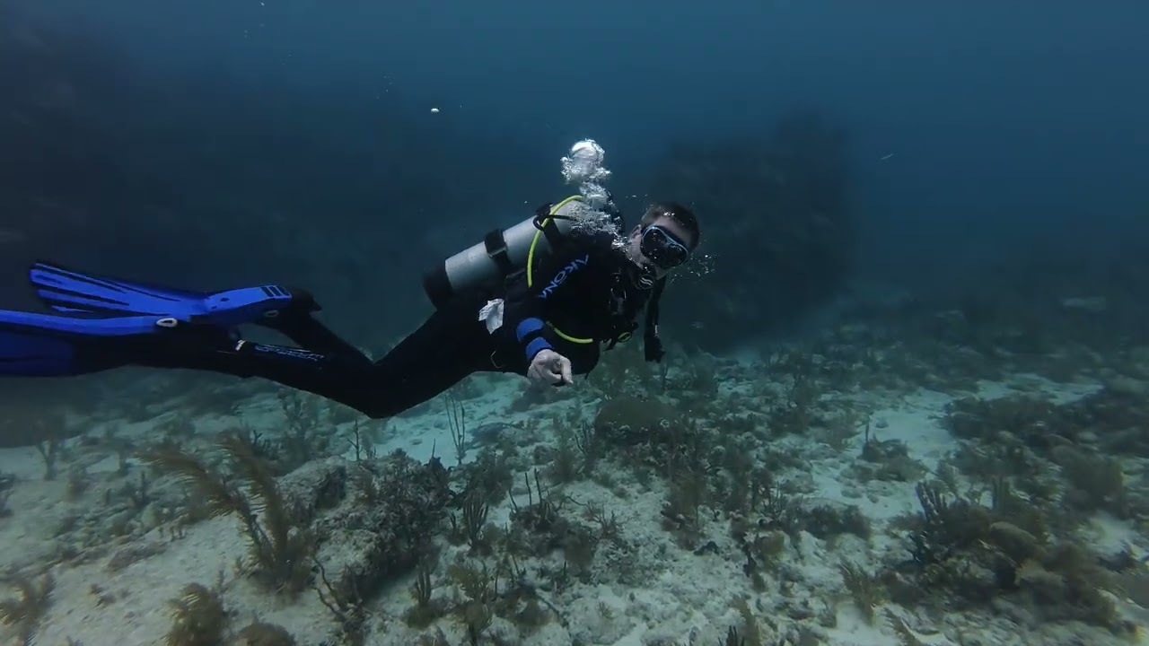 Diving in the Florida Keys: Day 3