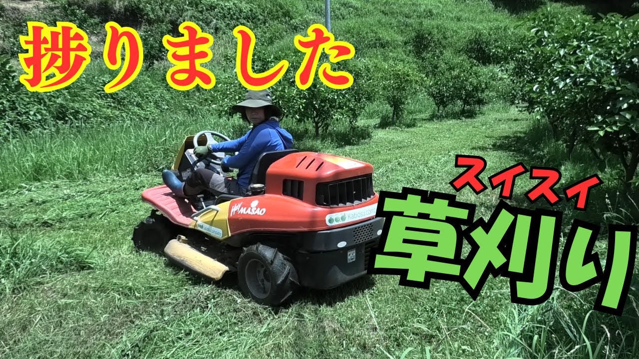 HeyMasaoのお陰で草刈りが捗りました！カボス畑をスイスイ草刈り