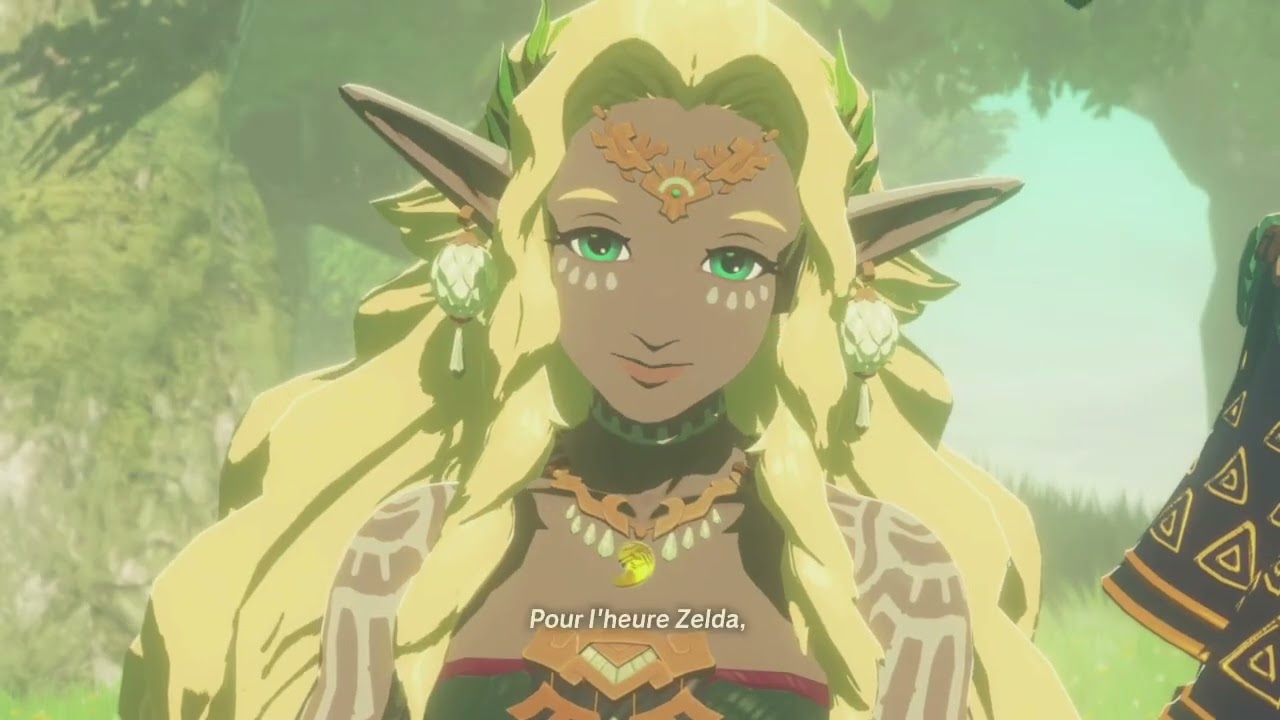 Hyrule Warriors : Les Chroniques du Sceau Part 1