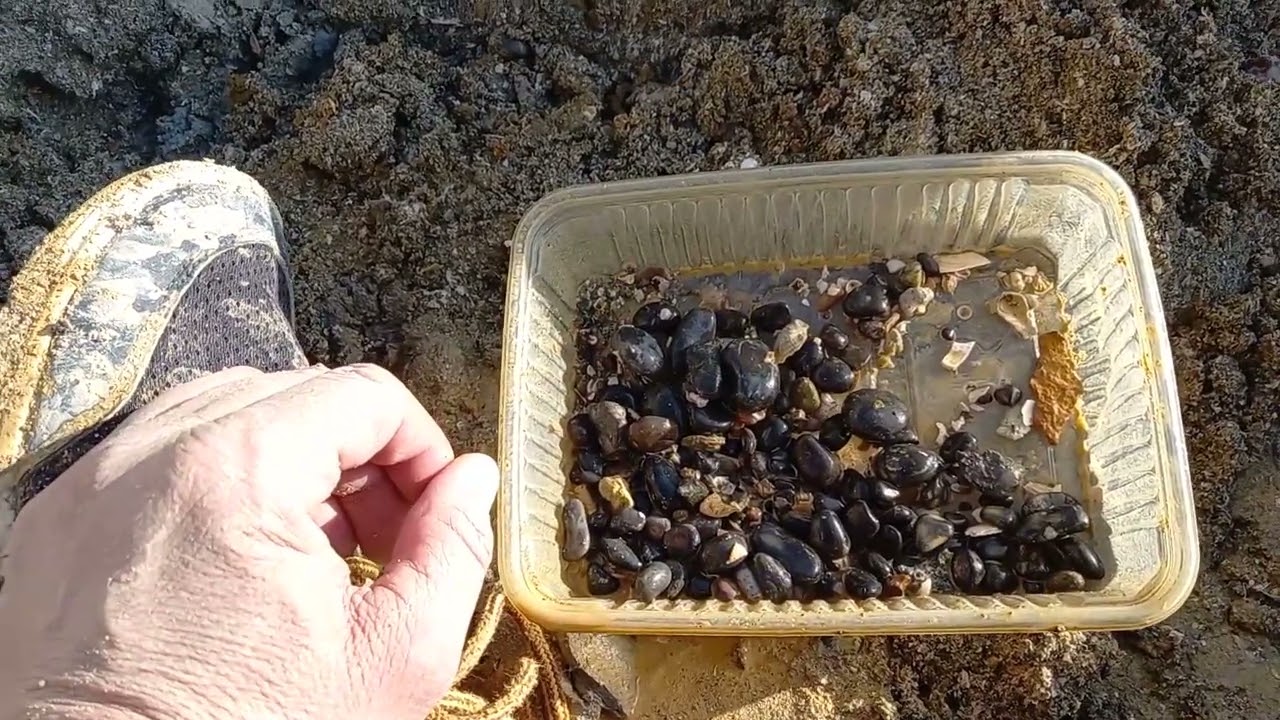 Recherche de vertébrés fossiles de l'éocène inférieur (yprésien) dans le Vexin en France