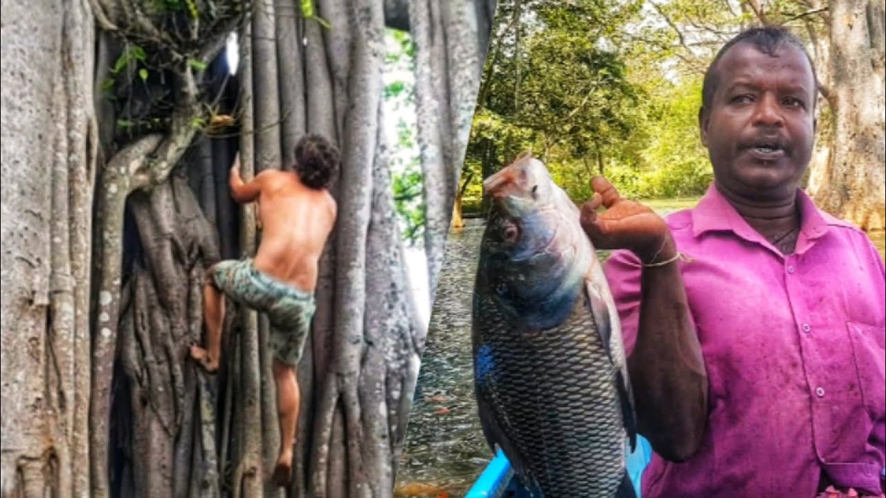 බෝට් සාෆාරියක් සමග ෆිශින් වීඩියෝ එකක අත්දැකීමක් වසන්ත අයියගෙන් ඔබට..🤍❤️