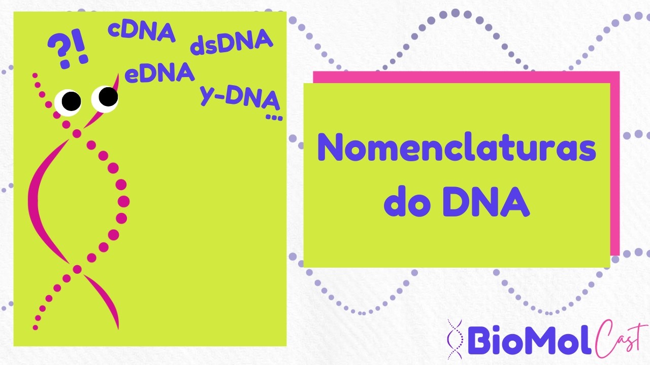 Nomenclaturas do DNA: ssDNA, dsDNA e muito mais!