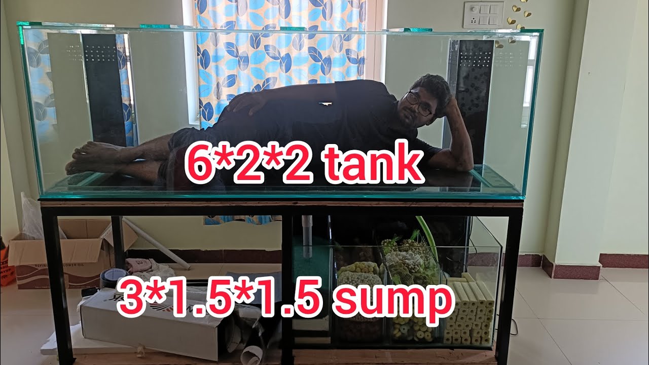 6 Feet monster aquarium for salem customer 
