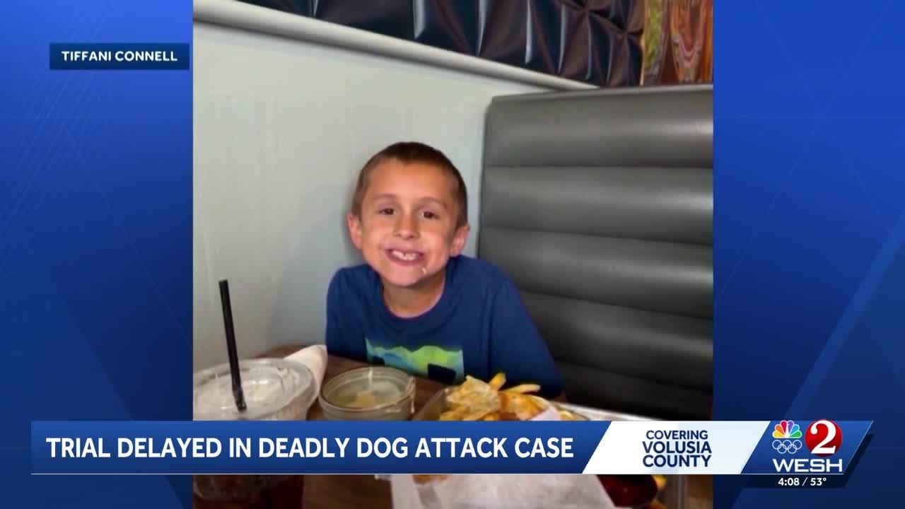 Trial delayed in deadly dog attack case that killed 8-year-old Michael Millett