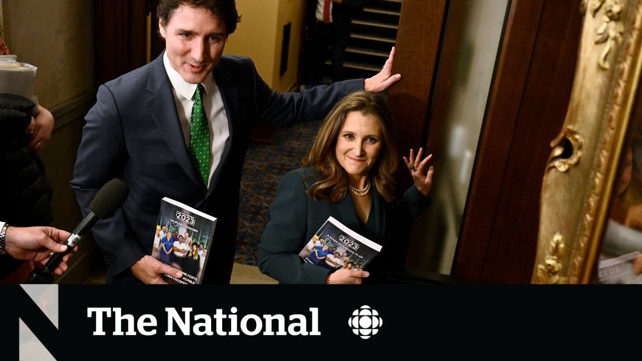 Federal budget promises funds for dental care, clean tech, &lsquo;grocery rebate&rsquo;