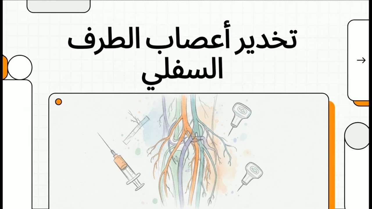 تخدير أعصاب الطرف السفلي | Lower Extremity Perioperative Nerve Blocks: A Guide