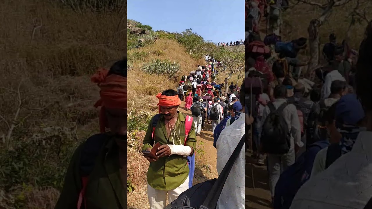 Girnar Lili Parikrama 2024