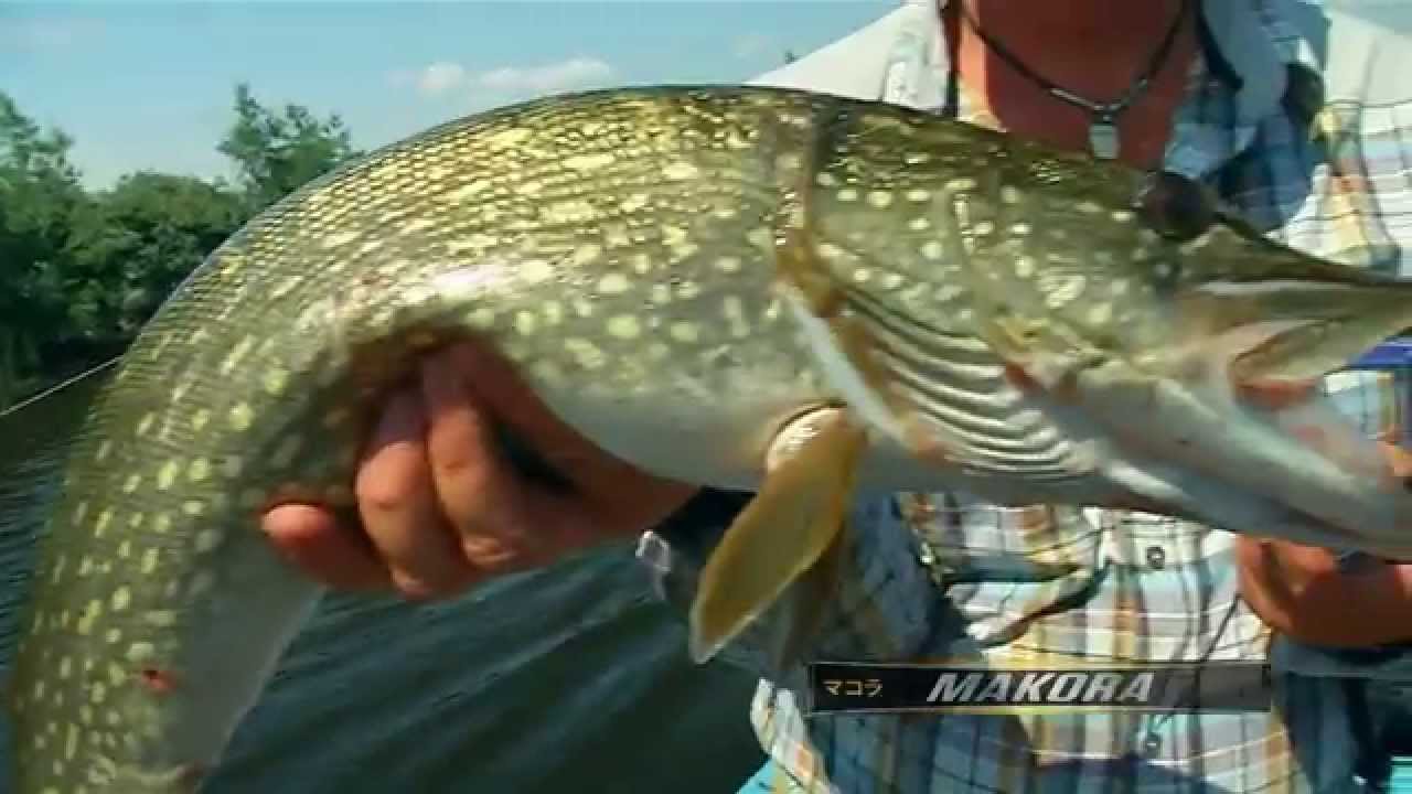 Воблер Lucky John Makora - презентация приманки